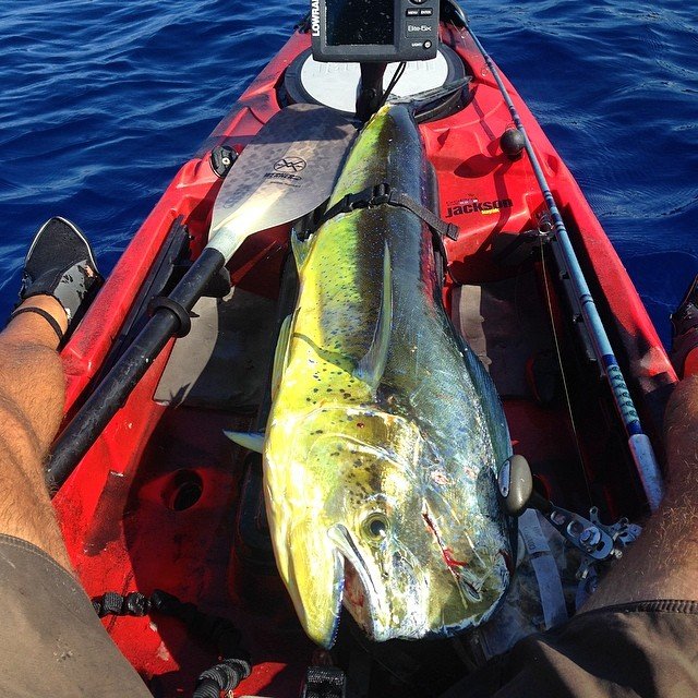 A kayaker shows off the Mahi Mahi he caught on his kayak with his Lowrance fish finder in the background