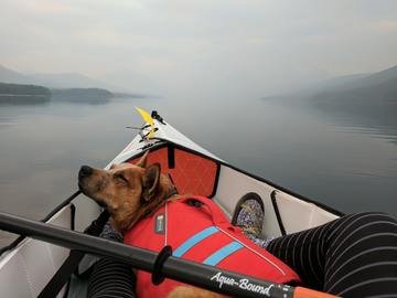 A cute pup wearing a doggy life vest snoozes while his head is resting on the bow of the kayak