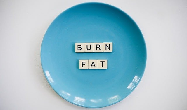 Blue plate with the words 'Burn Fat' spelled out on it in game tiles