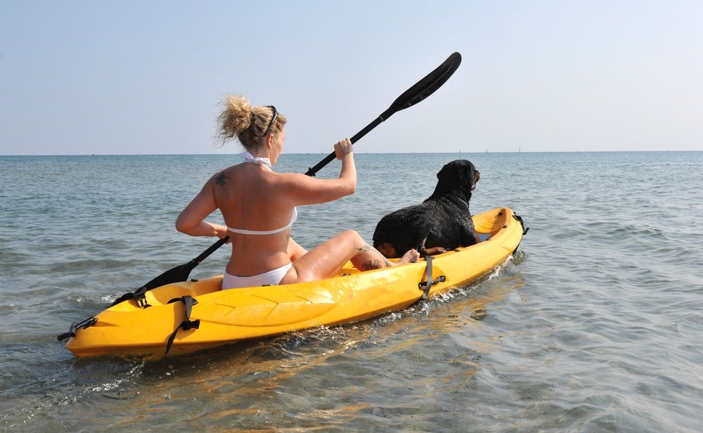 Best Kayak For Dogs